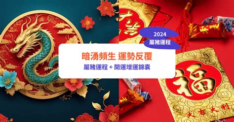 2024 豬 年 運程|屬豬2024運勢丨屬豬增運顏色、開運飾物、犯太歲化解、年份